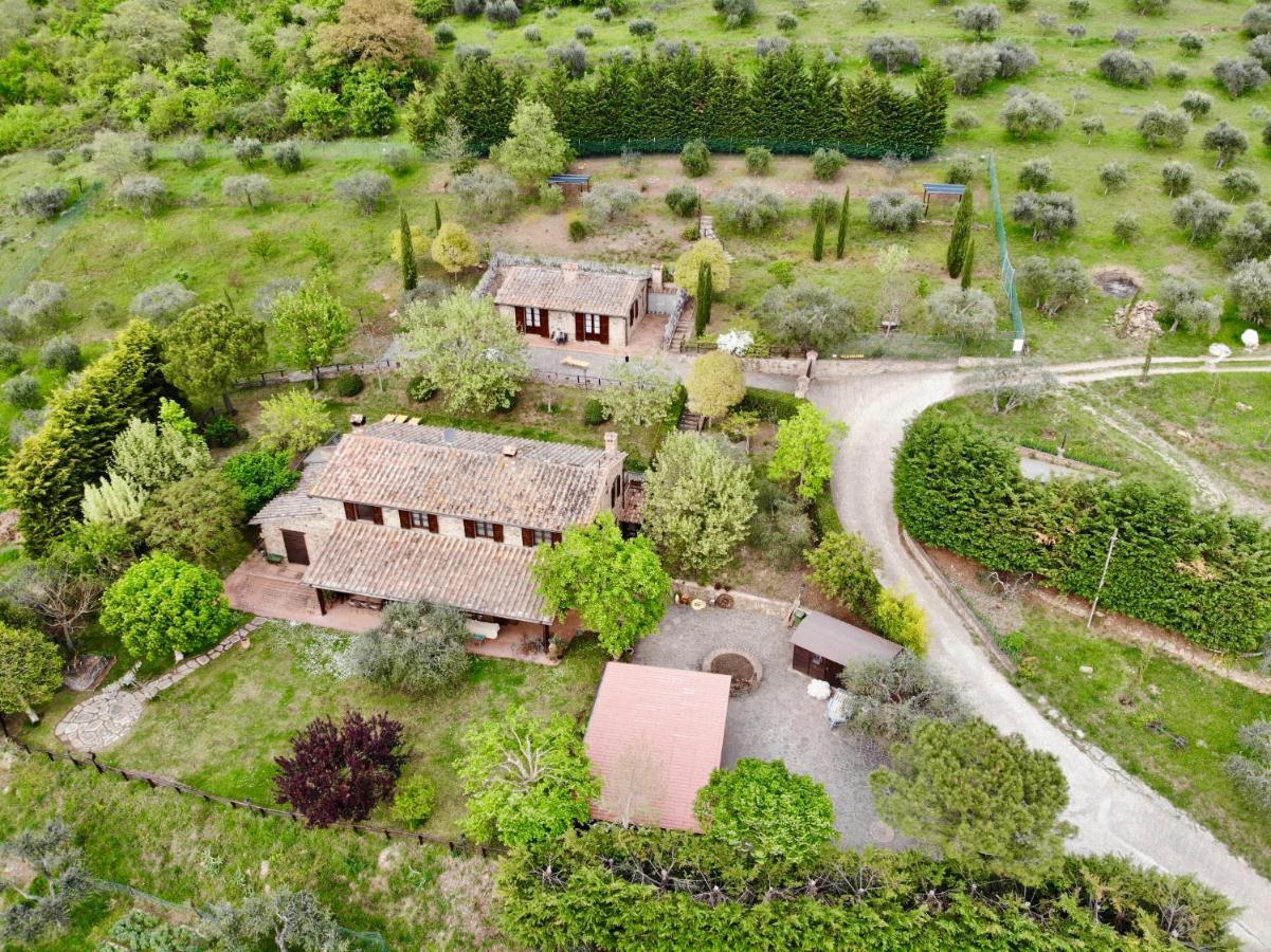 Agriturismo Panorama Sul Lago Passignano sul Trasimeno Exterior photo